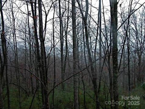 52 Hope View Road Swannanoa NC 28778