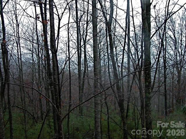 52 Hope View Road Swannanoa NC 28778