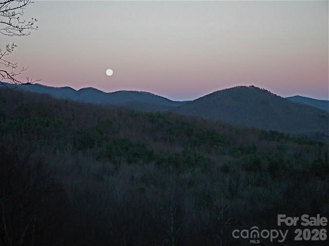 52 Hope View Road Swannanoa NC 28778