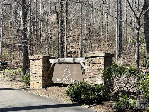 52 Hope View Road Swannanoa NC 28778