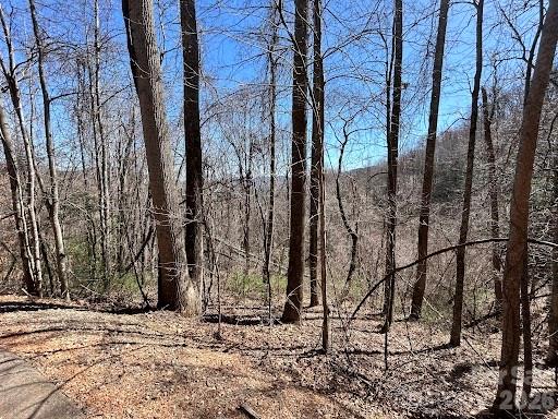 52 Hope View Road Swannanoa NC 28778