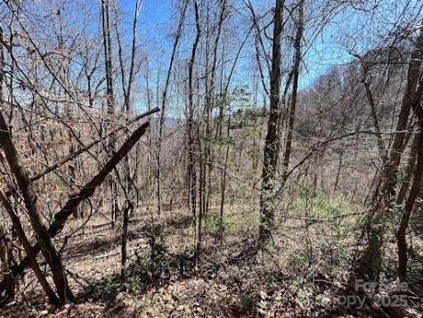 52 Hope View Road Swannanoa NC 28778