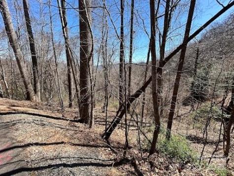 52 Hope View Road Swannanoa NC 28778