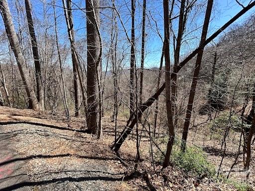 52 Hope View Road Swannanoa NC 28778