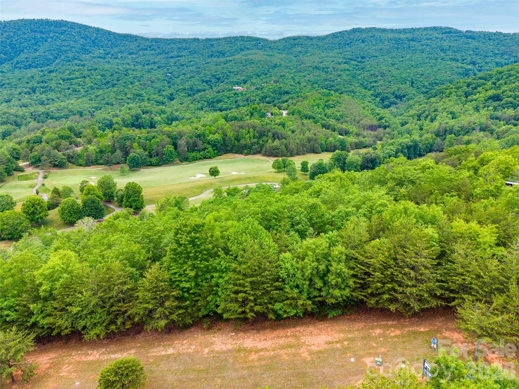 38 Deep Gap Farm Road E Mill Spring NC 28756
