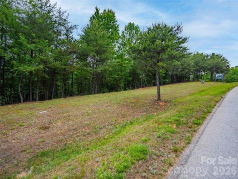 38 Deep Gap Farm Road E Mill Spring NC 28756