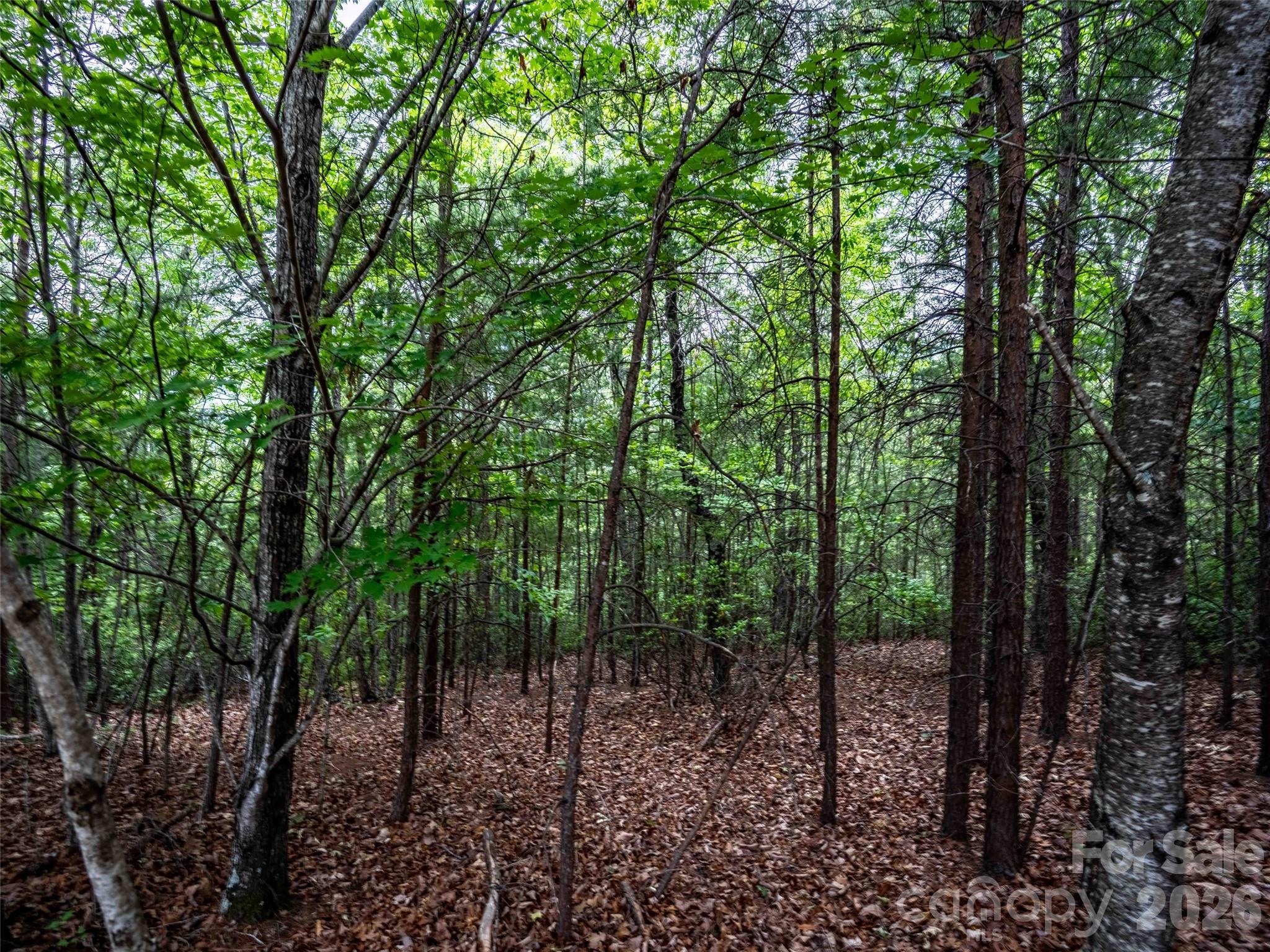 38 Deep Gap Farm Road E Mill Spring NC 28756