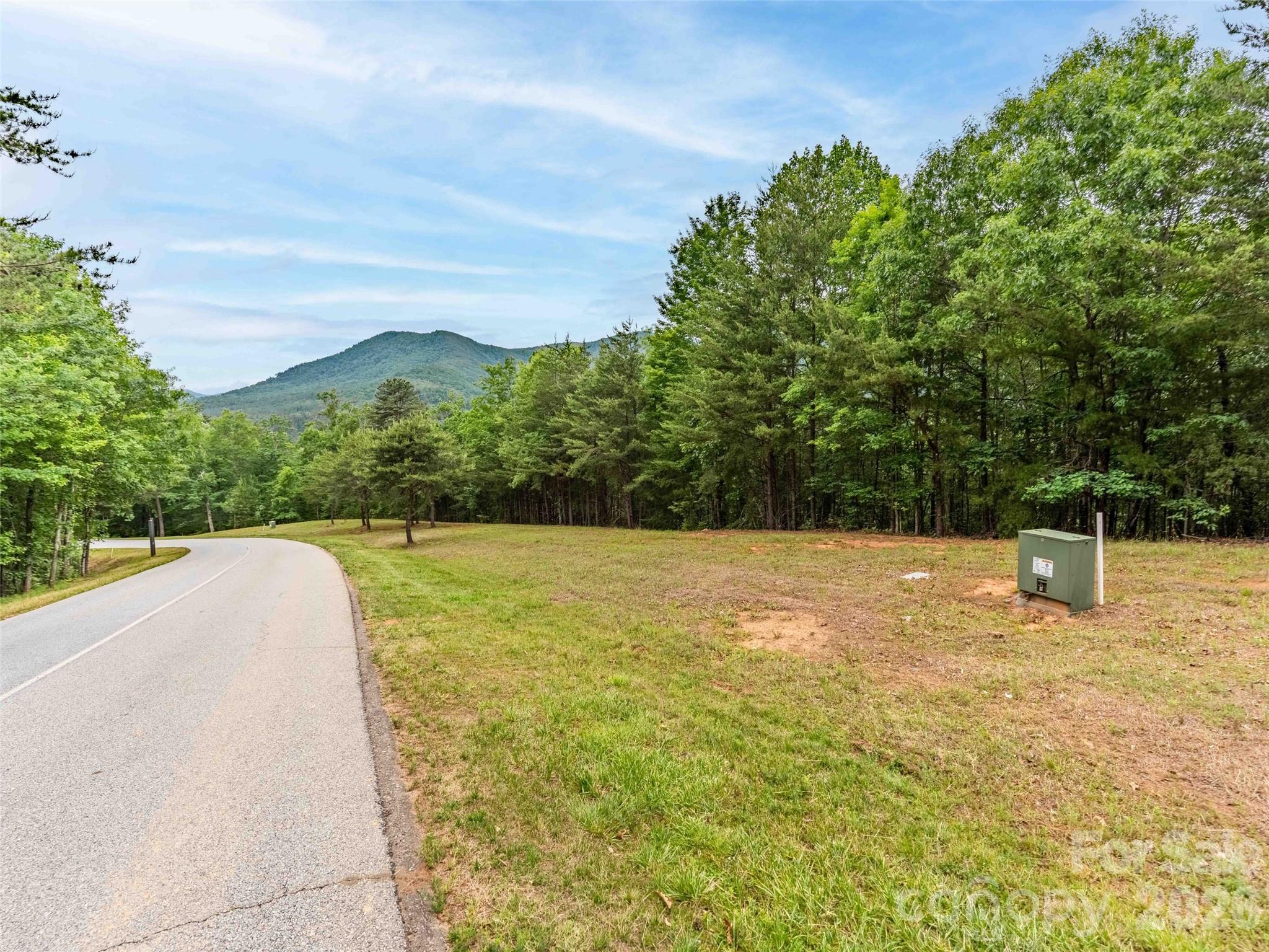 38 Deep Gap Farm Road E Mill Spring NC 28756