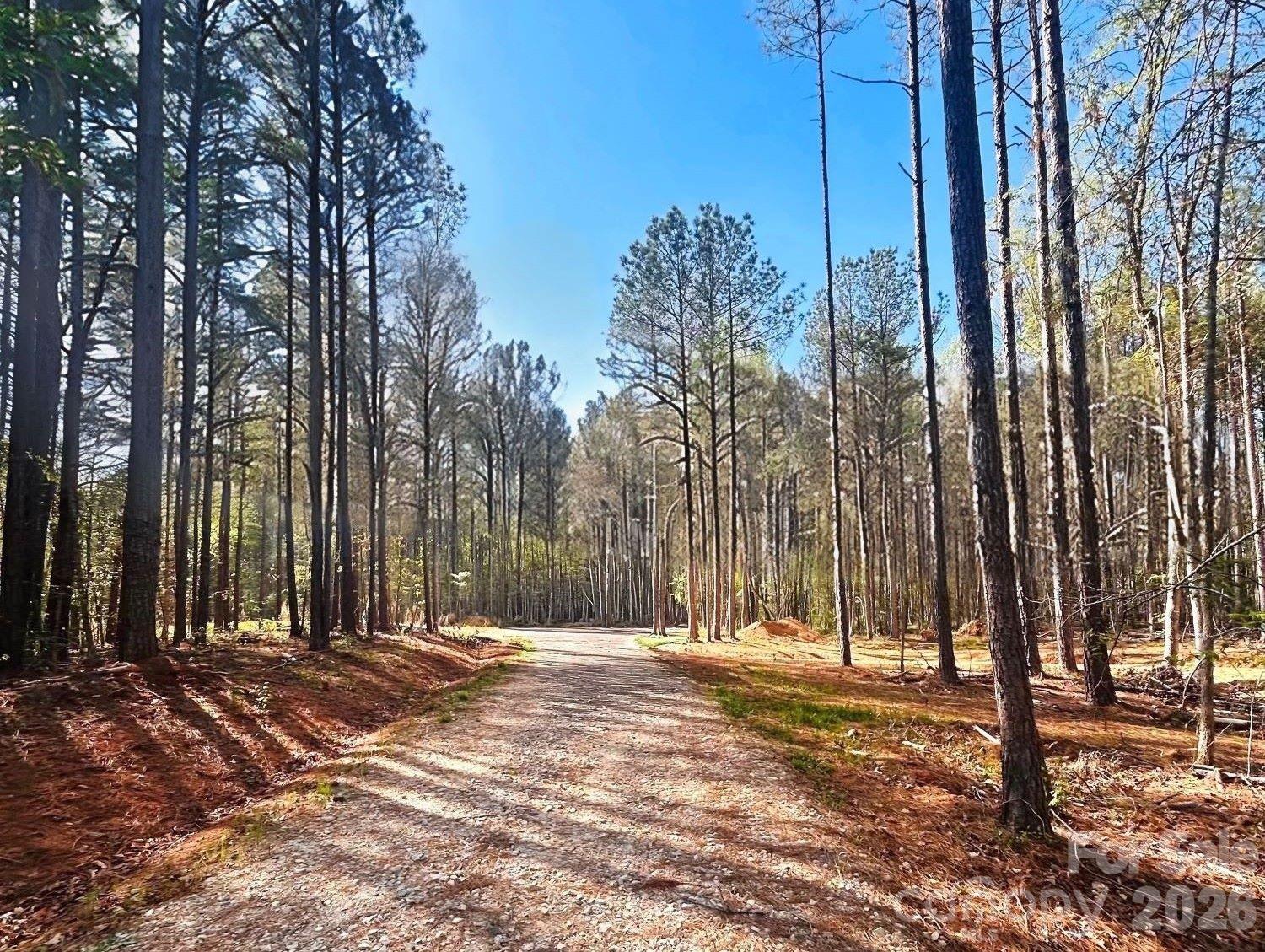 0 Peden Bridge Road Chester SC 29706