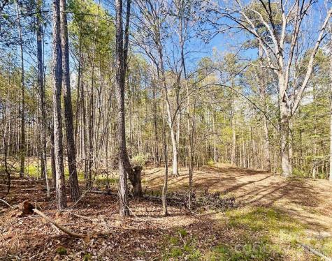 0 Peden Bridge Road Chester SC 29706
