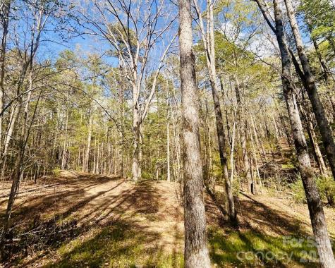 0 Peden Bridge Road Chester SC 29706