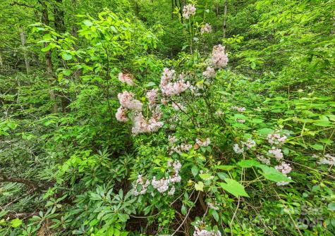 399 Shell Stand Road Almond NC 28702