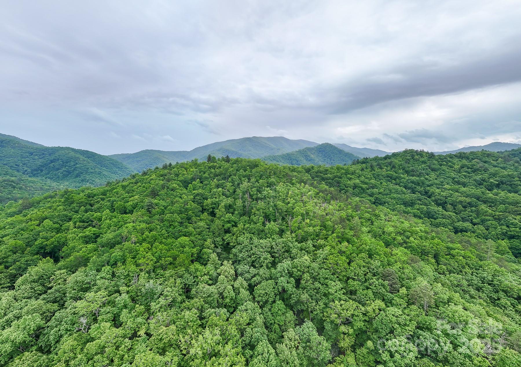 399 Shell Stand Road Almond NC 28702