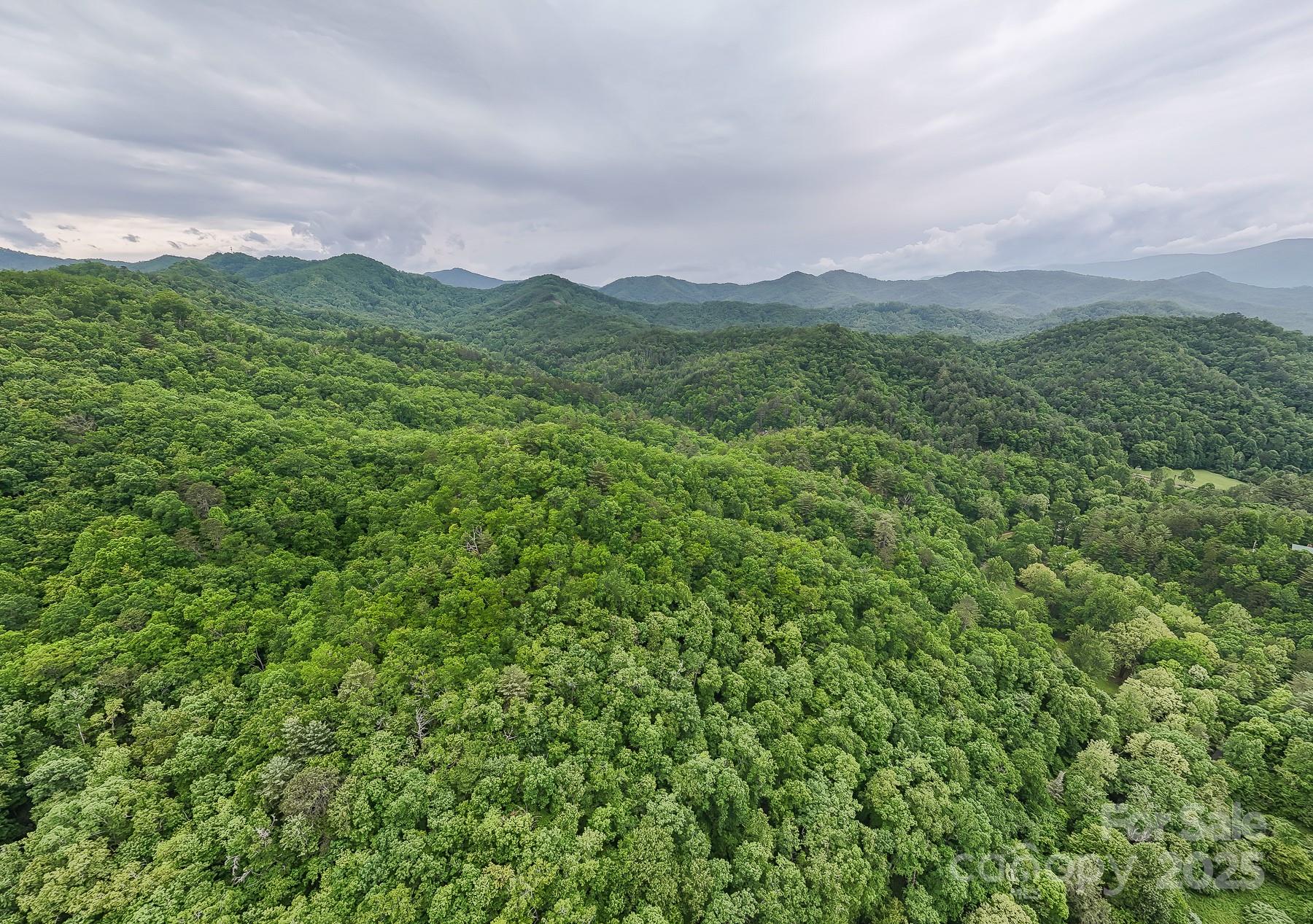 399 Shell Stand Road Almond NC 28702
