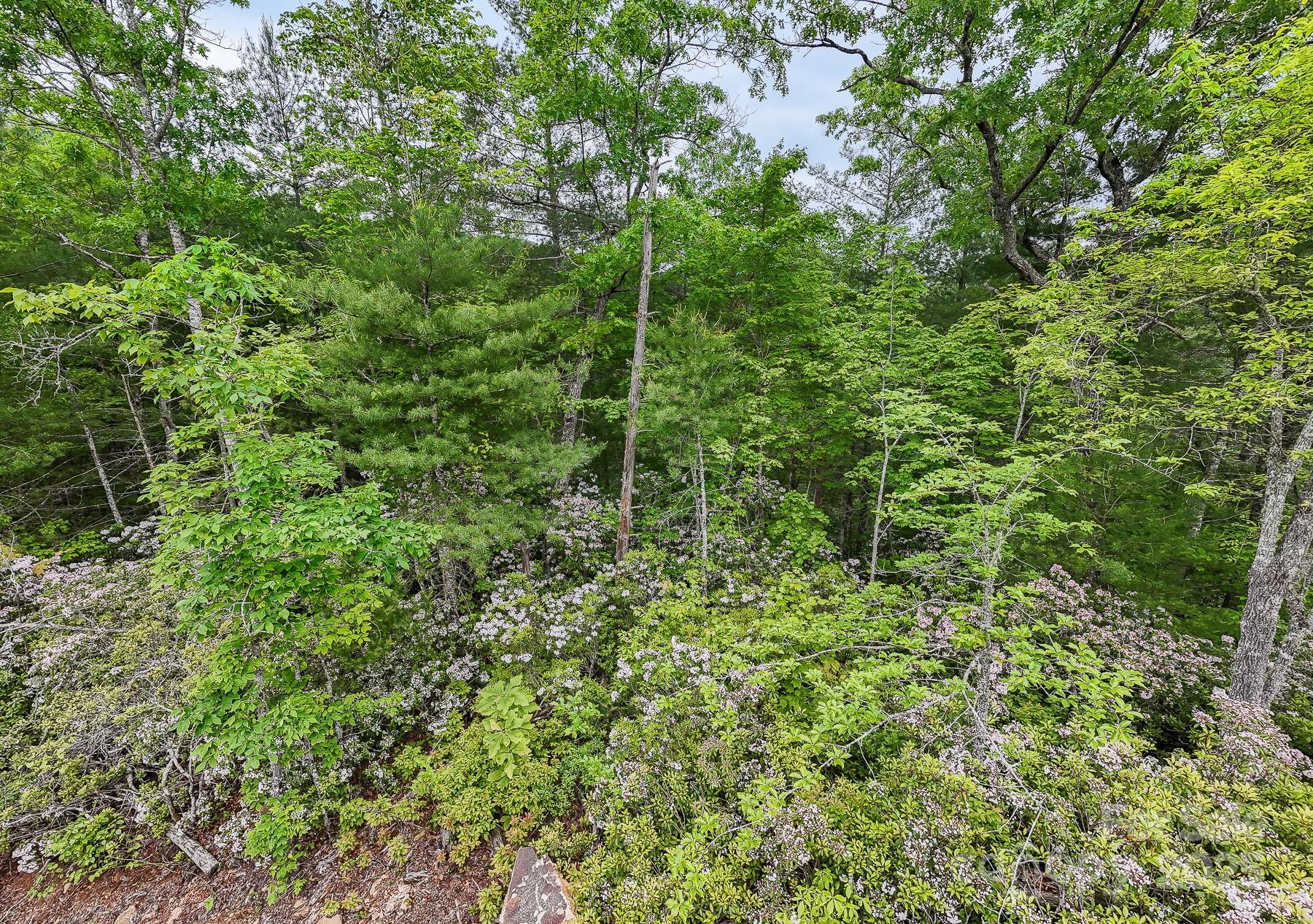 399 Shell Stand Road Almond NC 28702