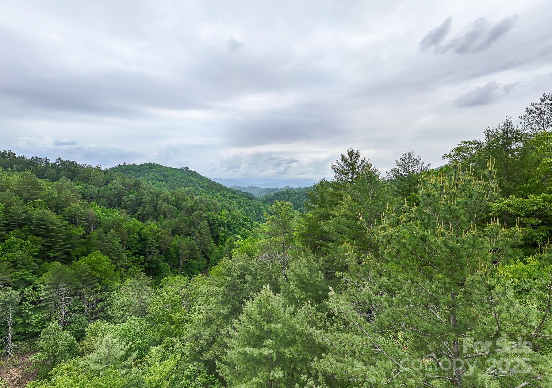 399 Shell Stand Road Almond NC 28702