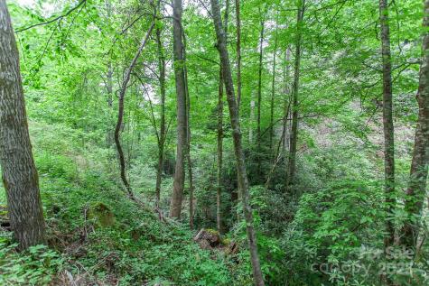 399 Shell Stand Road Almond NC 28702