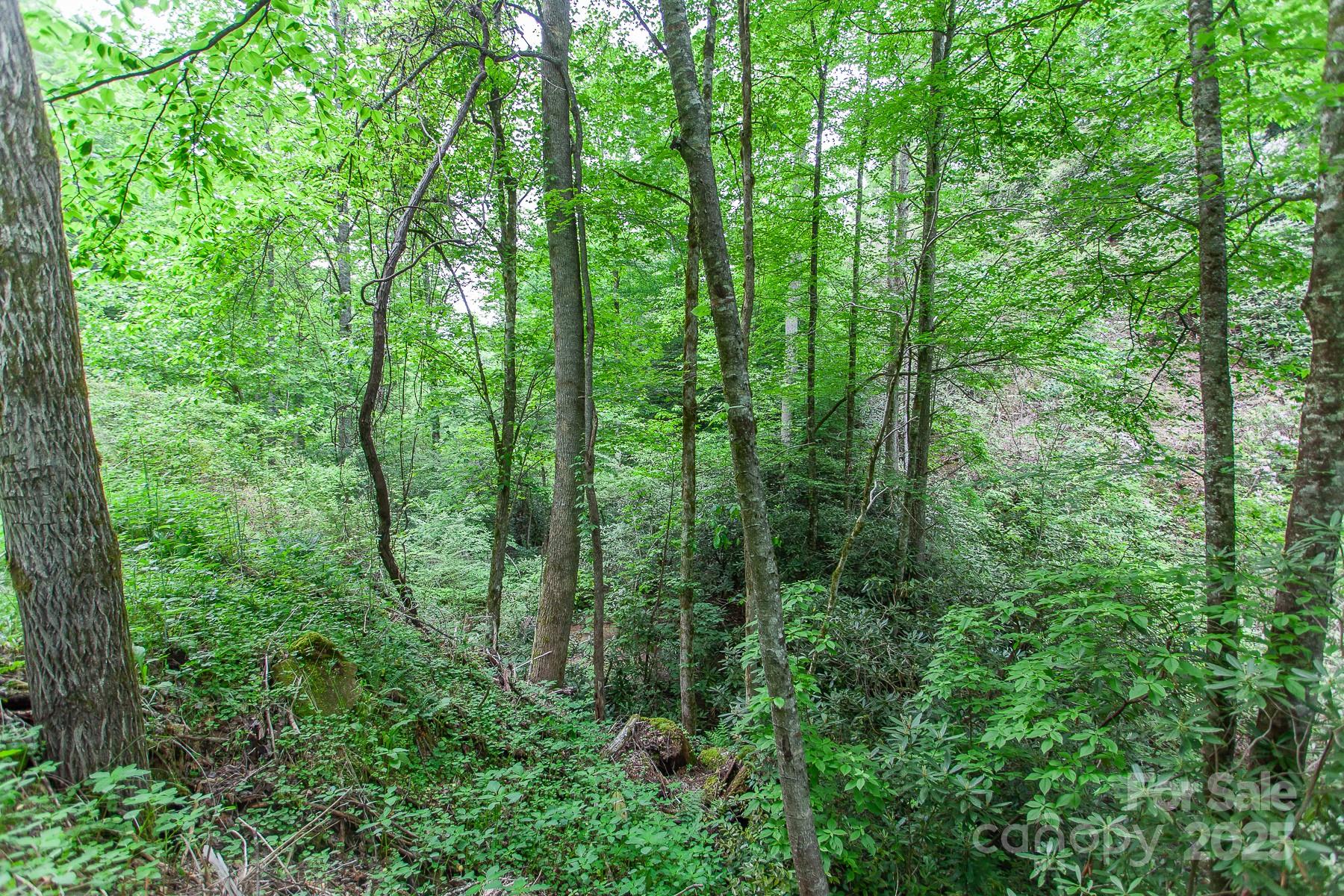 399 Shell Stand Road Almond NC 28702