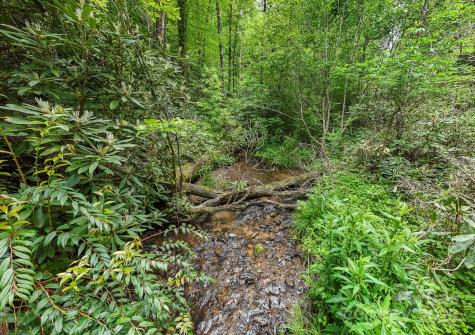 399 Shell Stand Road Almond NC 28702