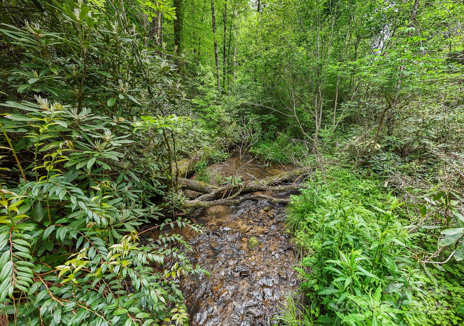 399 Shell Stand Road Almond NC 28702