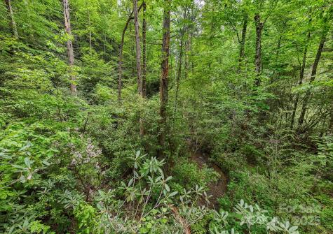 399 Shell Stand Road Almond NC 28702