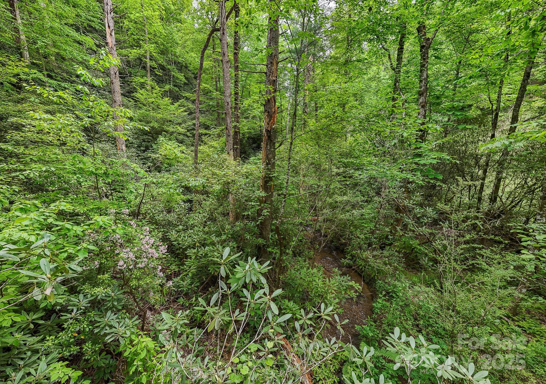 399 Shell Stand Road Almond NC 28702