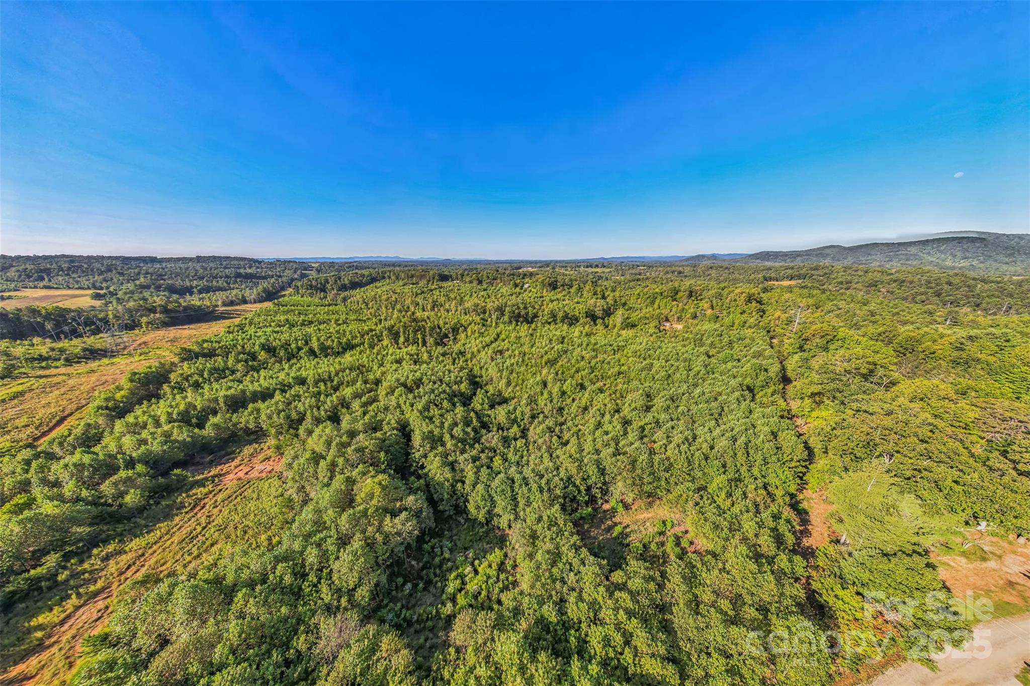 307 Rc Road Traphill NC 28685