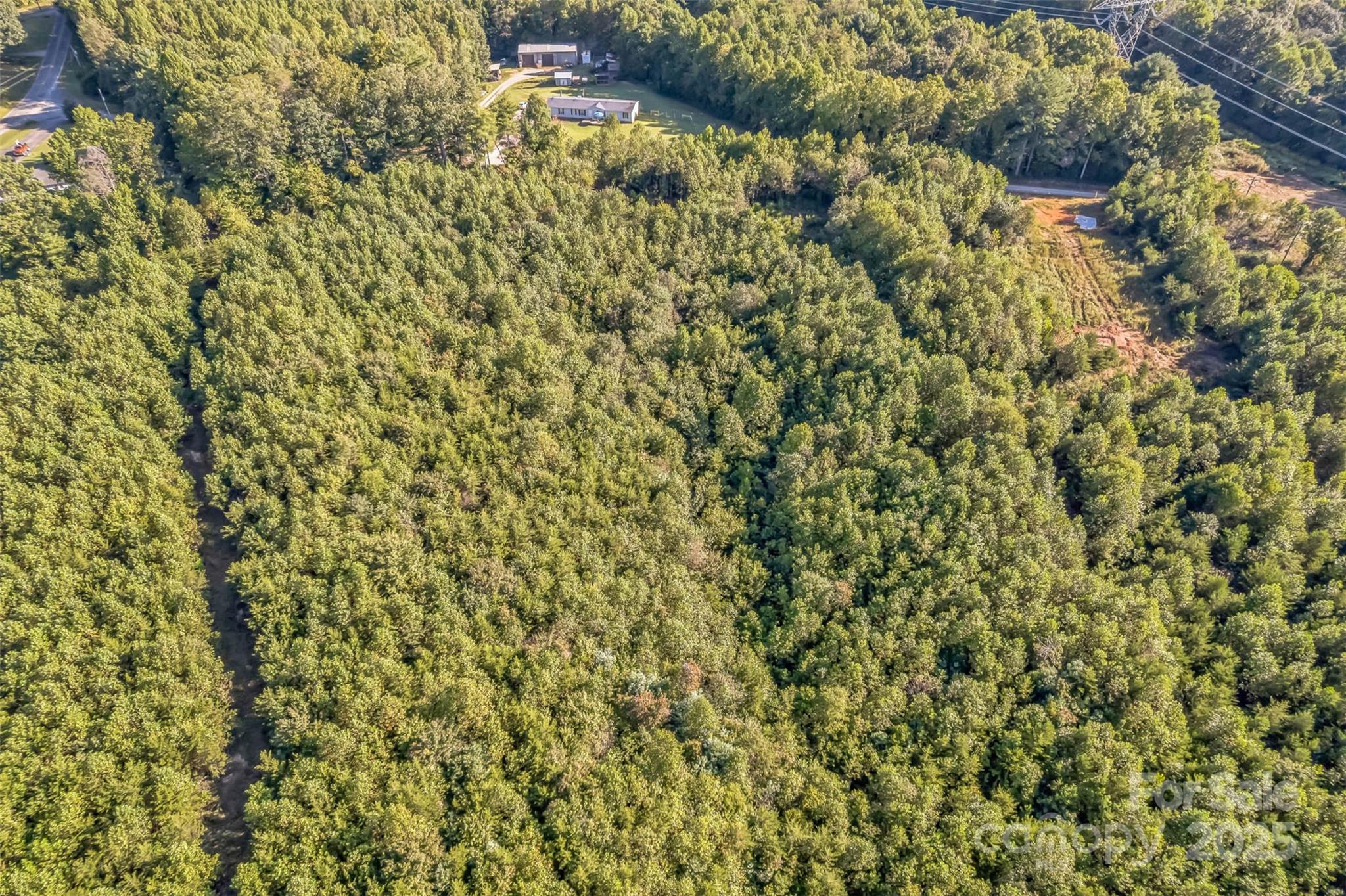 307 Rc Road Traphill NC 28685