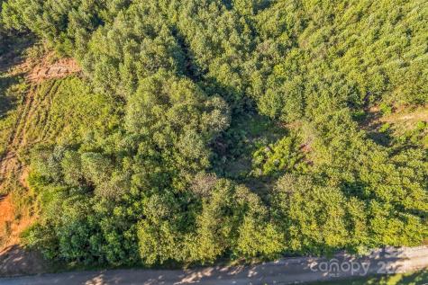 307 Rc Road Traphill NC 28685