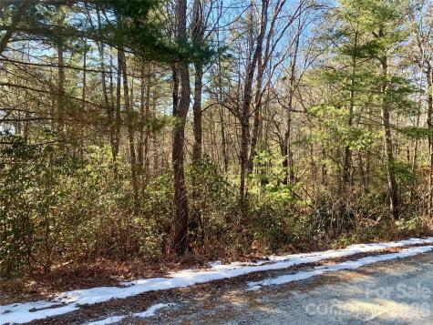 Lot 18 Oak Ridge Drive Brevard NC 28712
