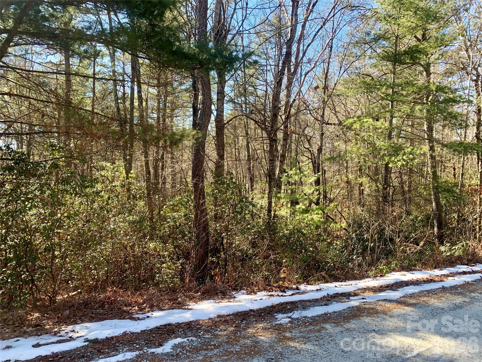 Lot 18 Oak Ridge Drive Brevard NC 28712