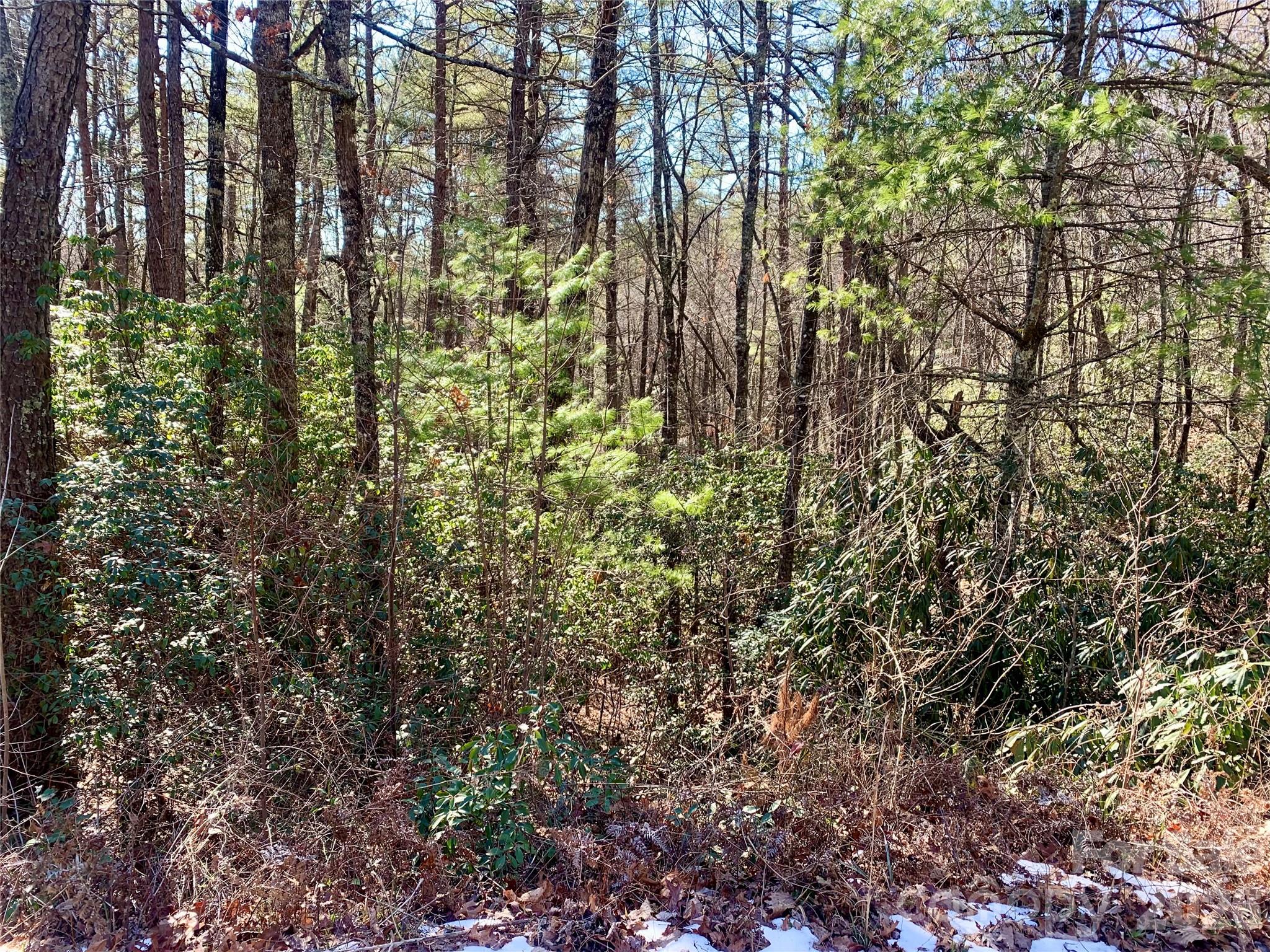 Lot 18 Oak Ridge Drive Brevard NC 28712