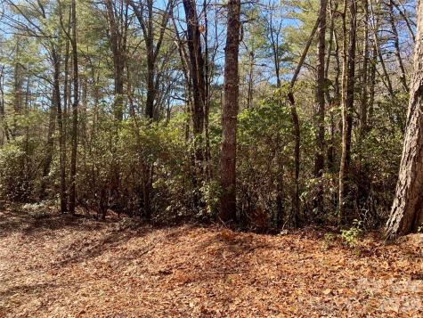 Lot 18 Oak Ridge Drive Brevard NC 28712