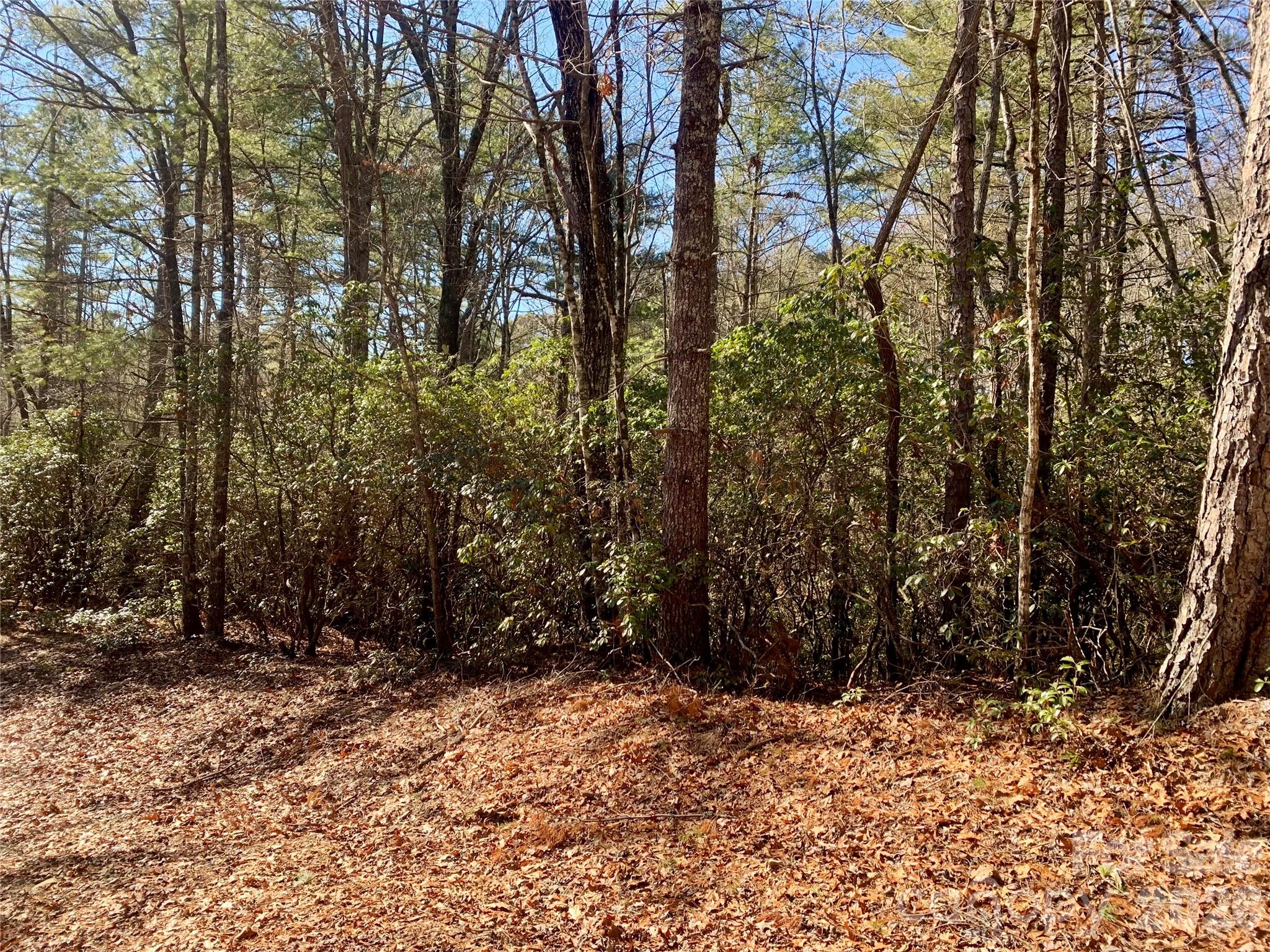 Lot 18 Oak Ridge Drive Brevard NC 28712