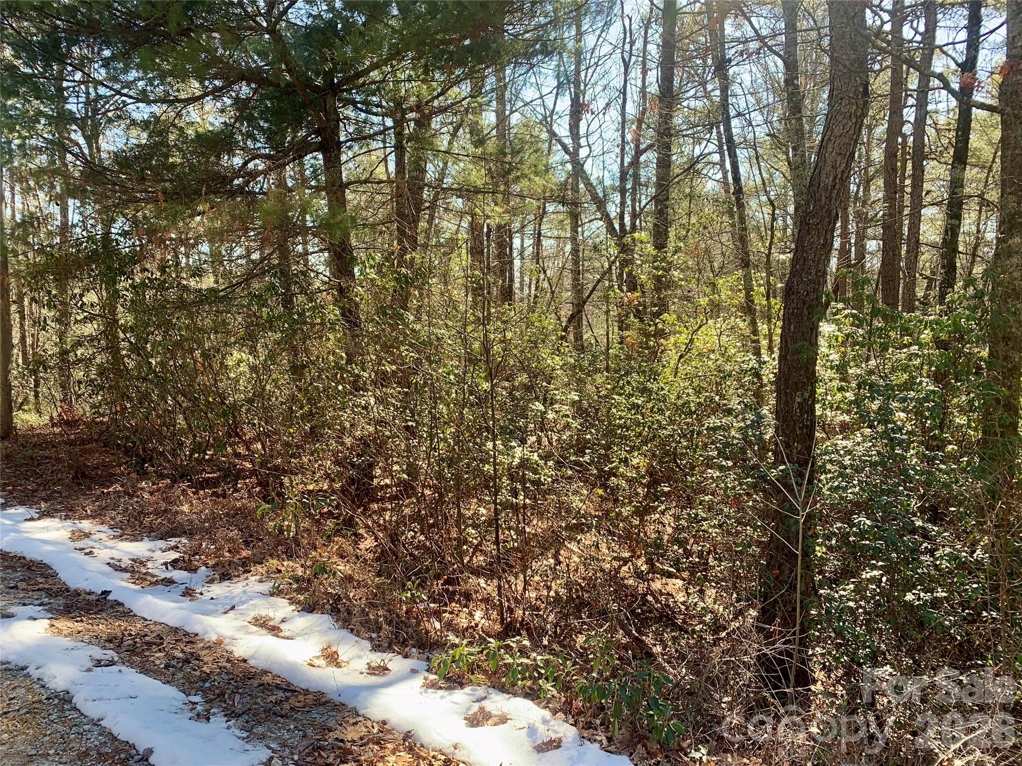 Lot 18 Oak Ridge Drive Brevard NC 28712