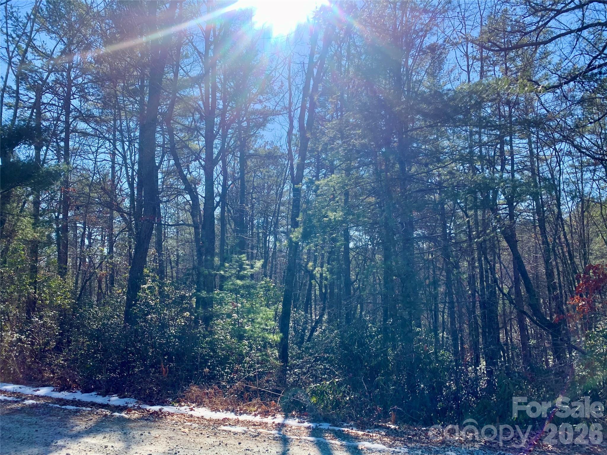 Lot 18 Oak Ridge Drive Brevard NC 28712