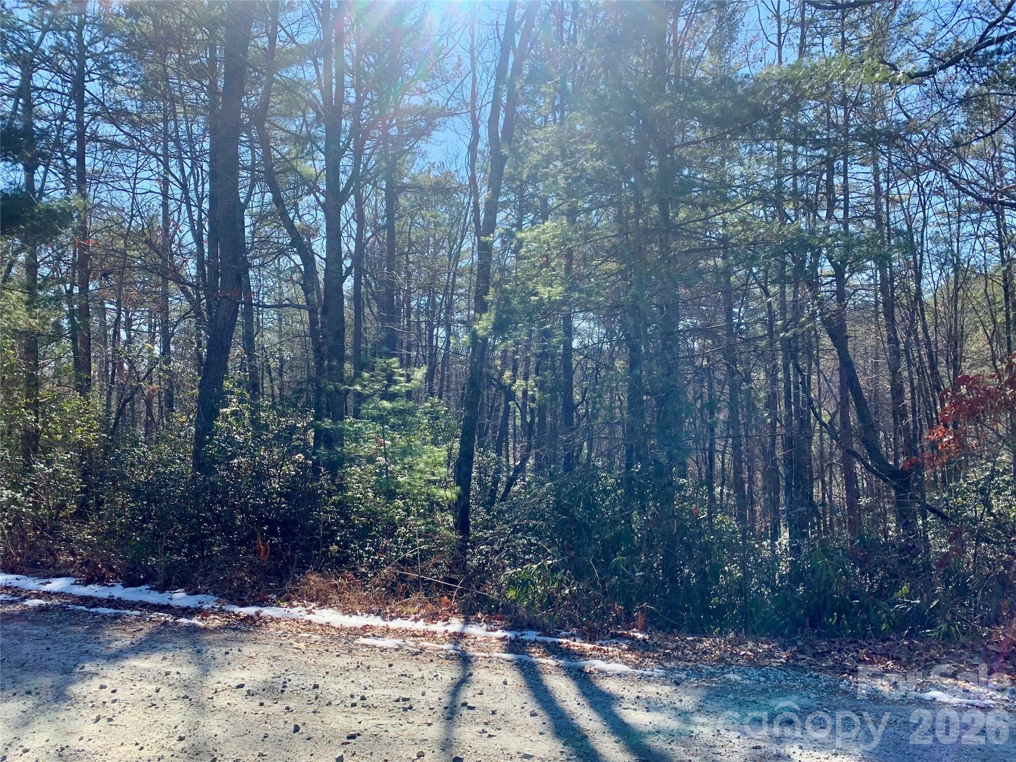 Lot 18 Oak Ridge Drive Brevard NC 28712