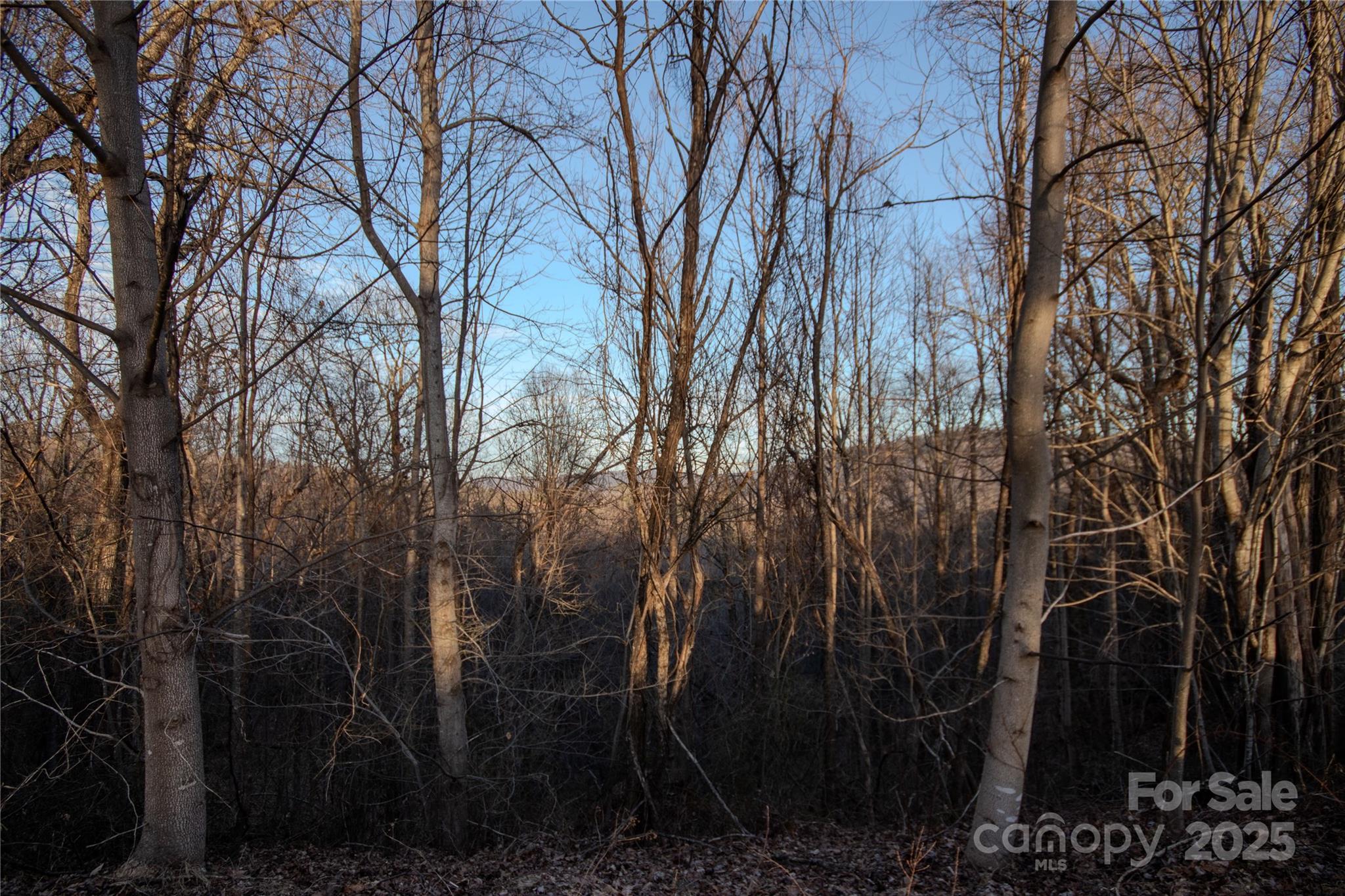 Lot# 22 Autumn Ridge Lenoir NC 28645