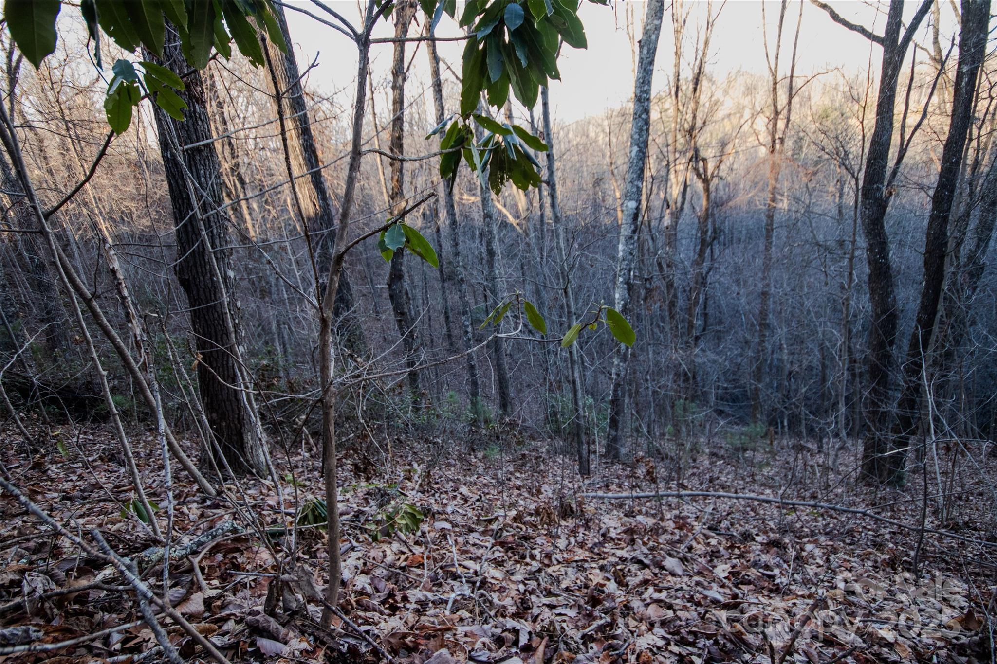 Lot# 22 Autumn Ridge Lenoir NC 28645