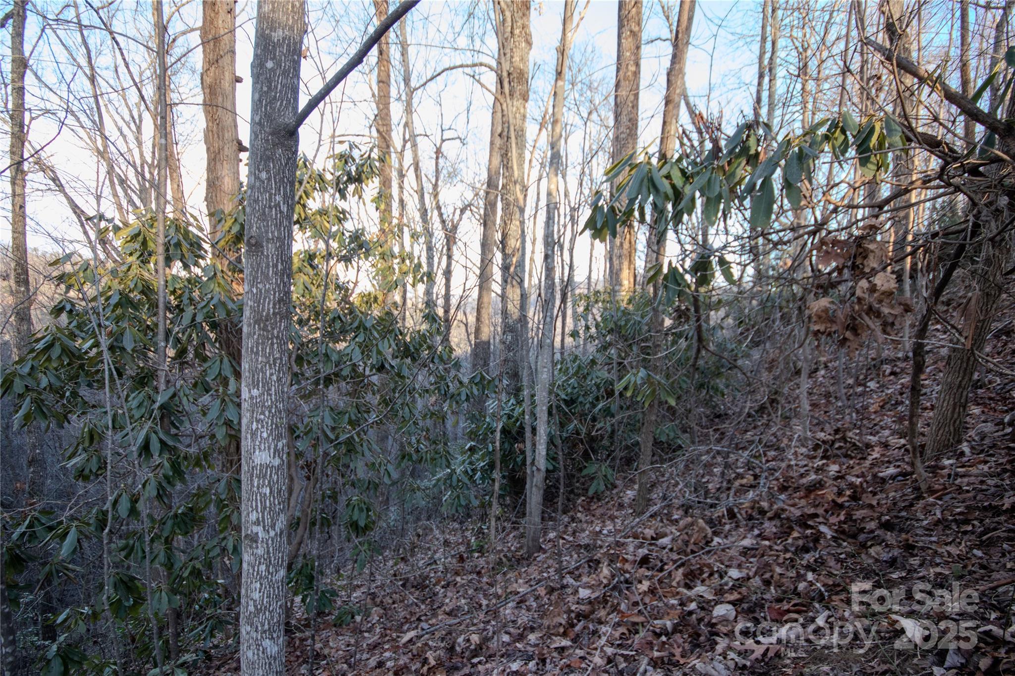Lot# 22 Autumn Ridge Lenoir NC 28645