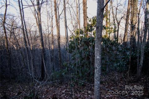 Lot# 22 Autumn Ridge Lenoir NC 28645