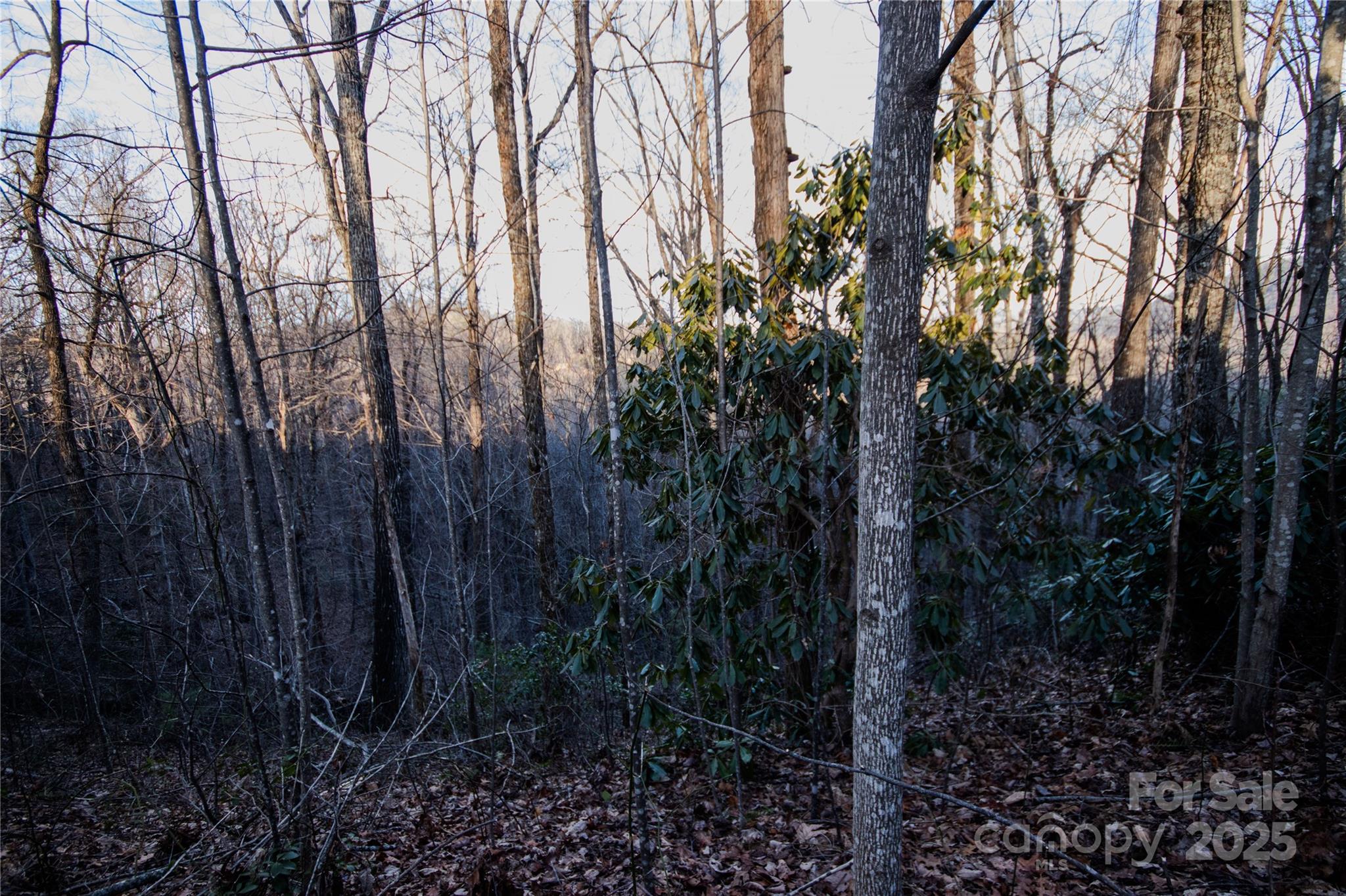 Lot# 22 Autumn Ridge Lenoir NC 28645