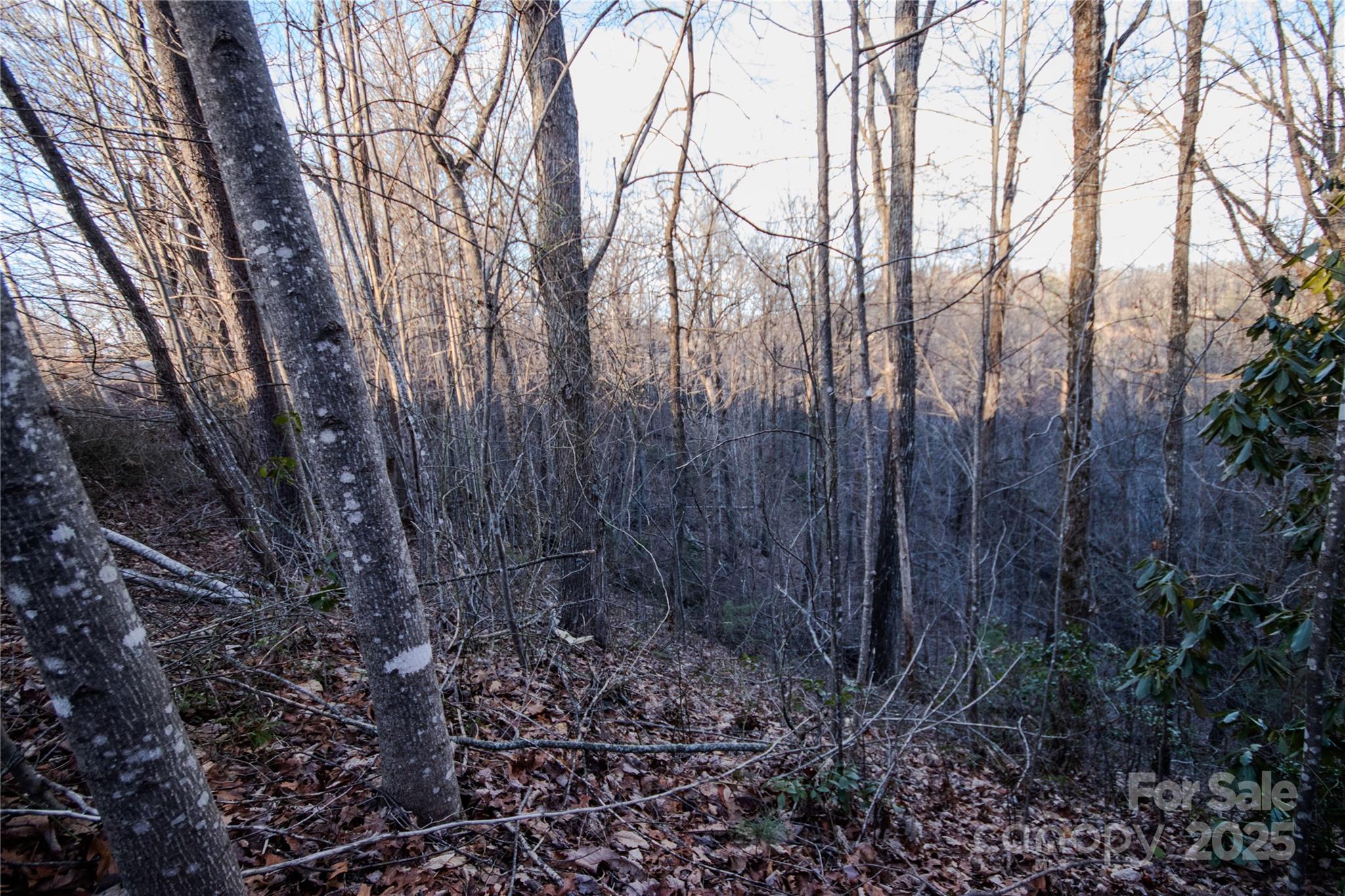 Lot# 22 Autumn Ridge Lenoir NC 28645