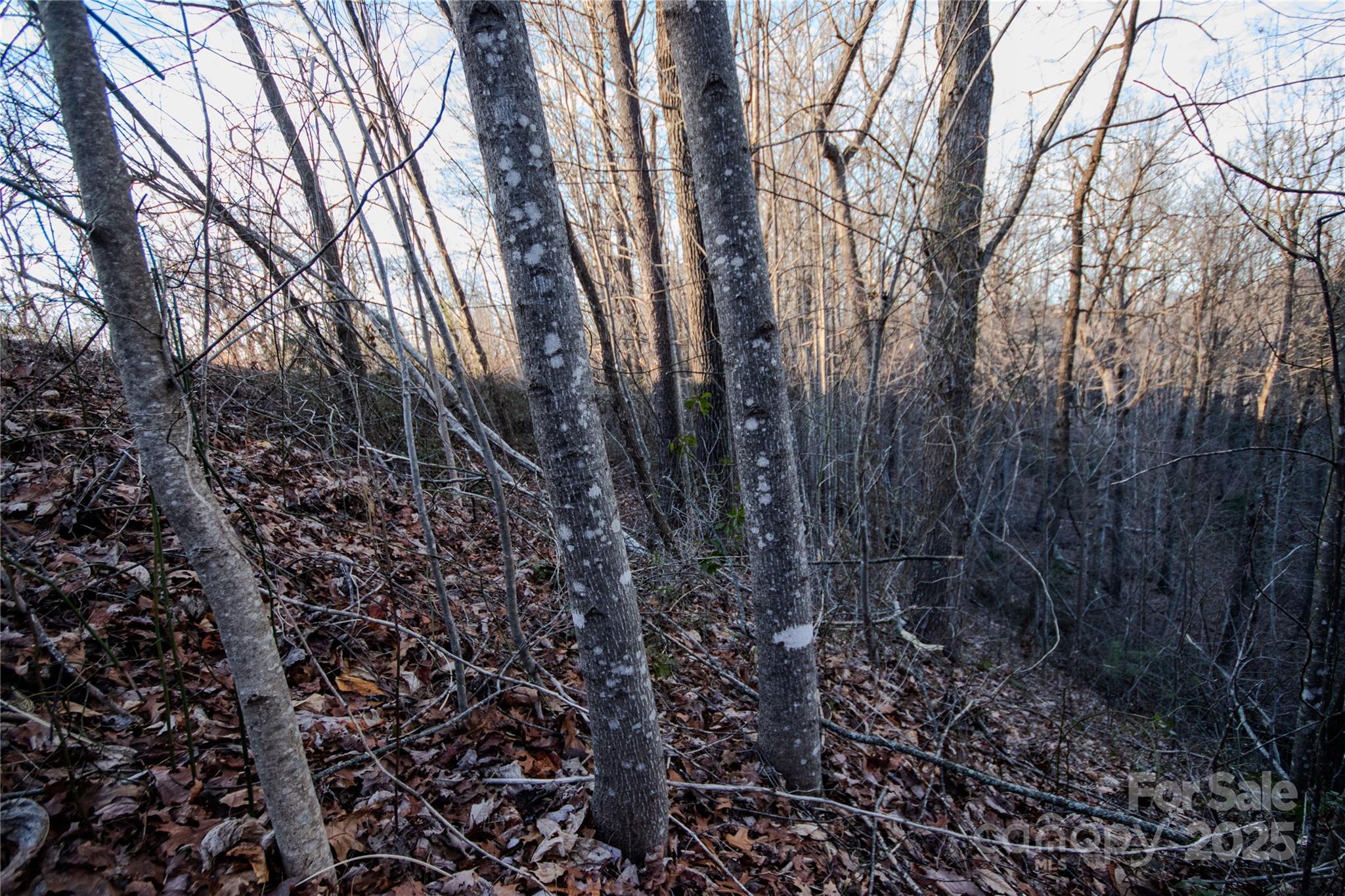 Lot# 22 Autumn Ridge Lenoir NC 28645