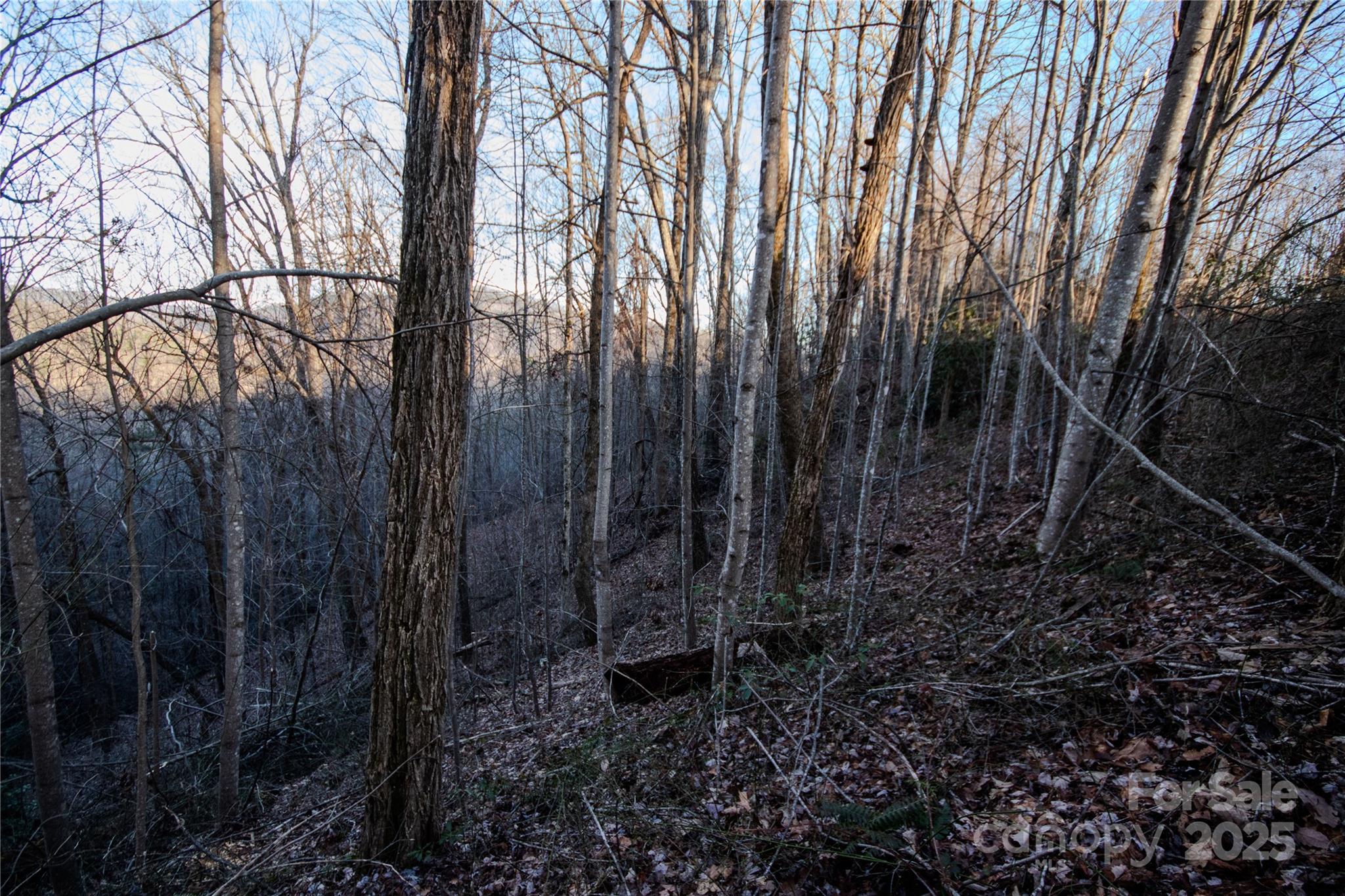 Lot# 22 Autumn Ridge Lenoir NC 28645