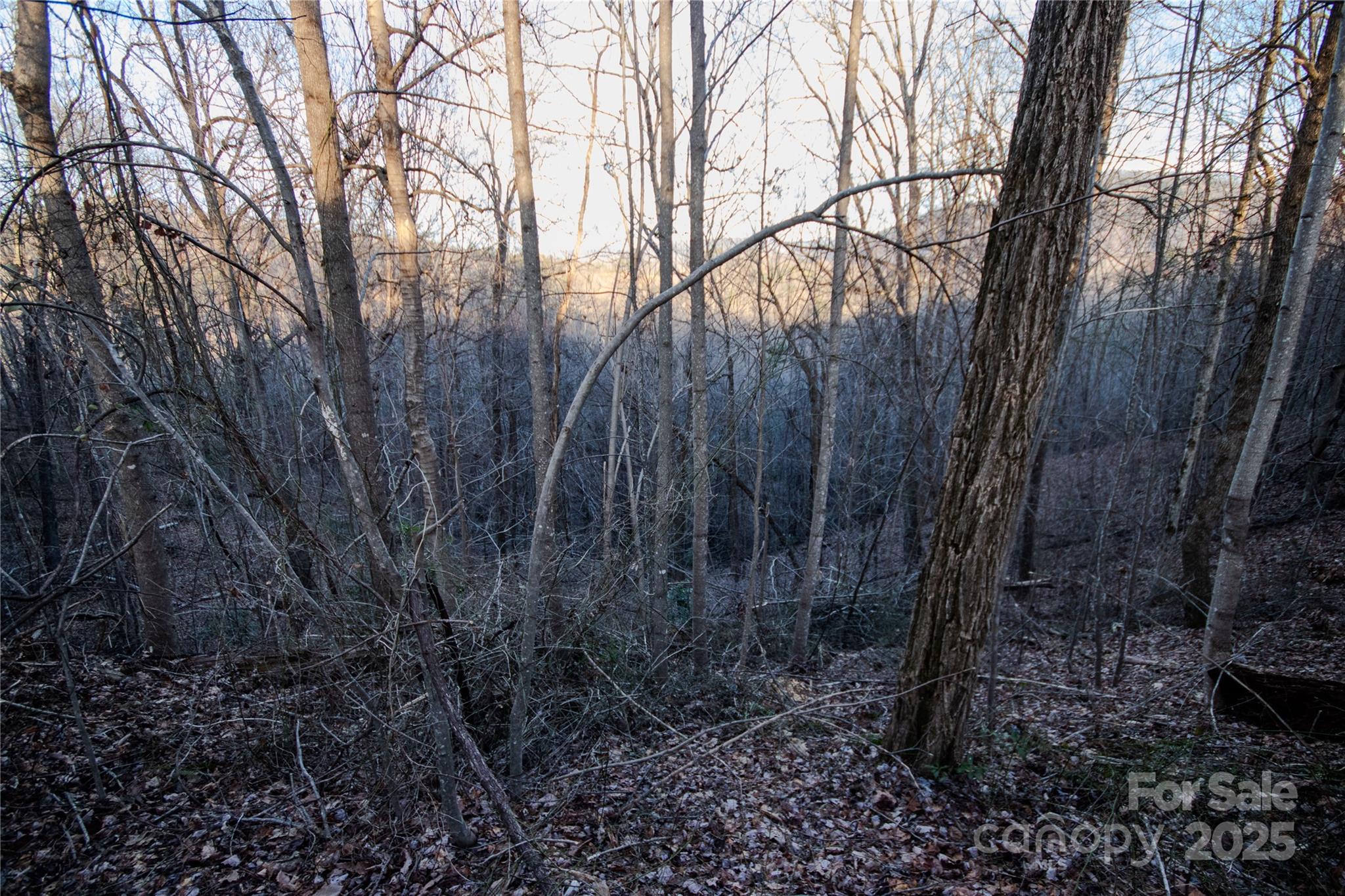 Lot# 22 Autumn Ridge Lenoir NC 28645