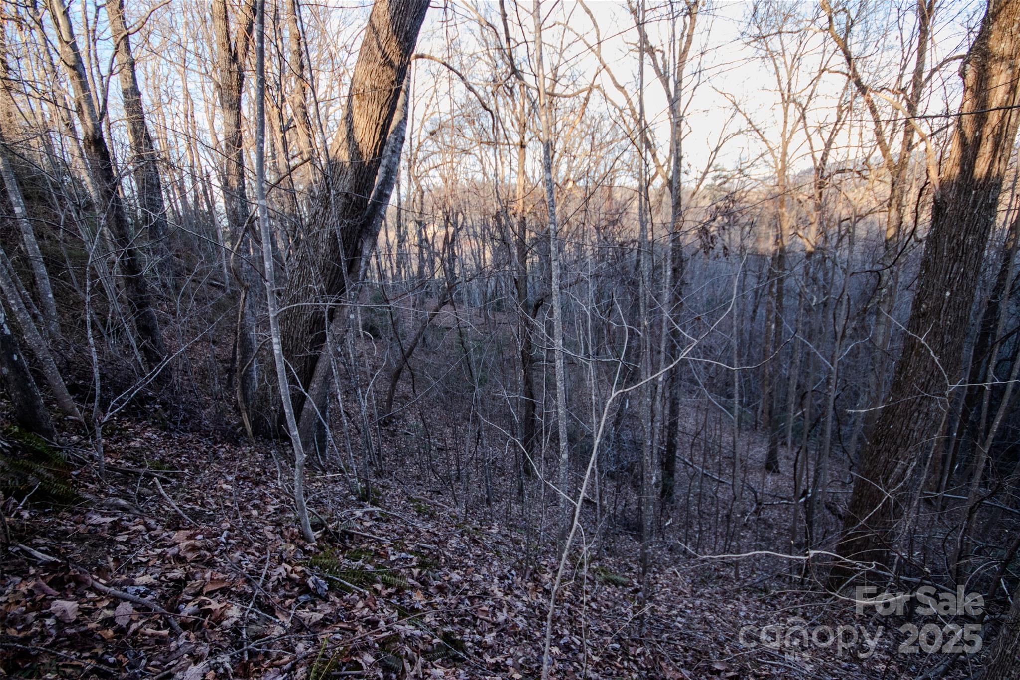 Lot# 22 Autumn Ridge Lenoir NC 28645