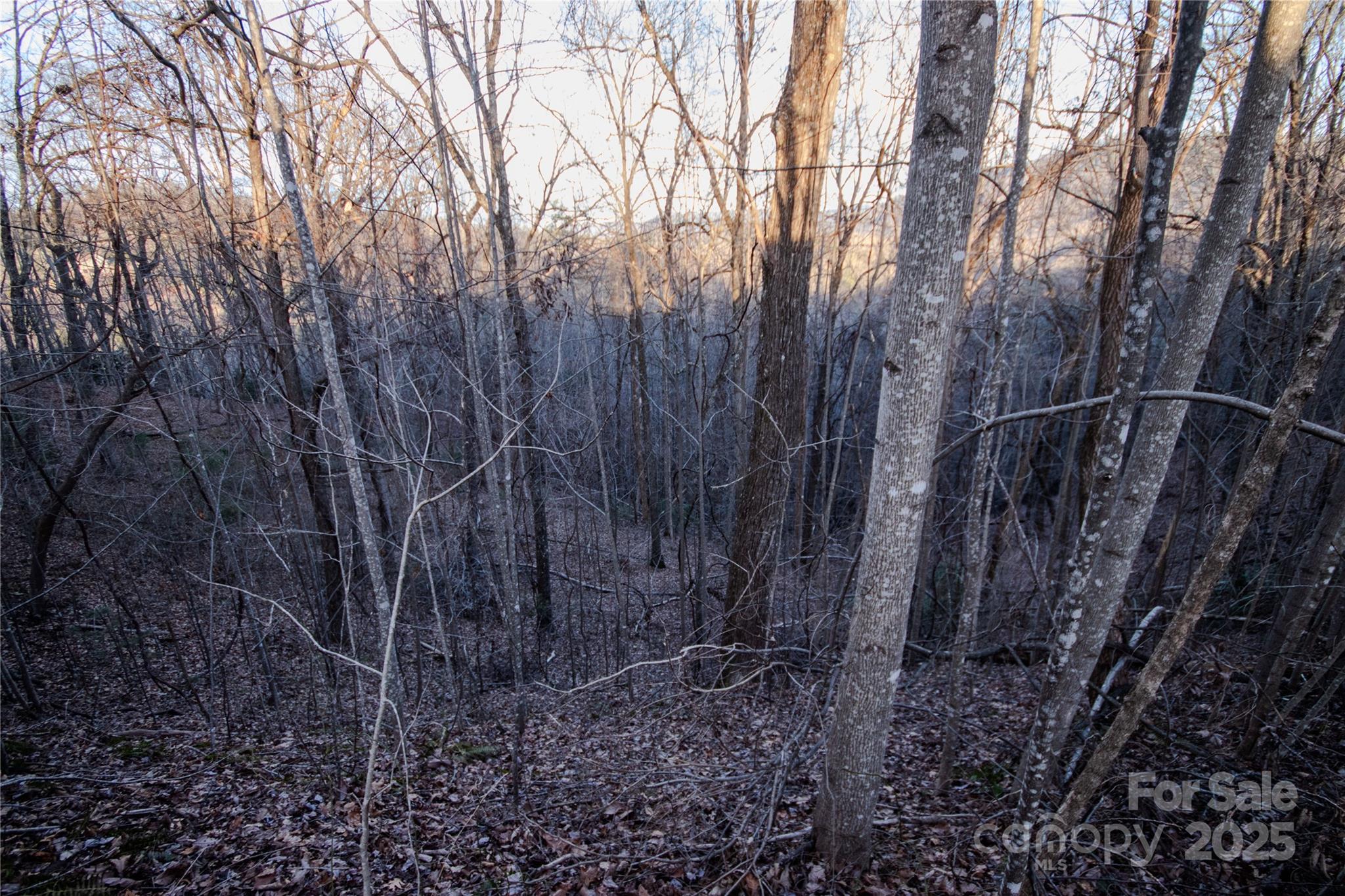 Lot# 22 Autumn Ridge Lenoir NC 28645
