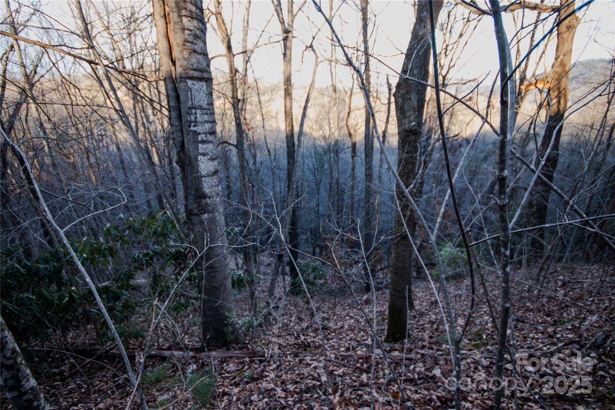 Lot# 22 Autumn Ridge Lenoir NC 28645