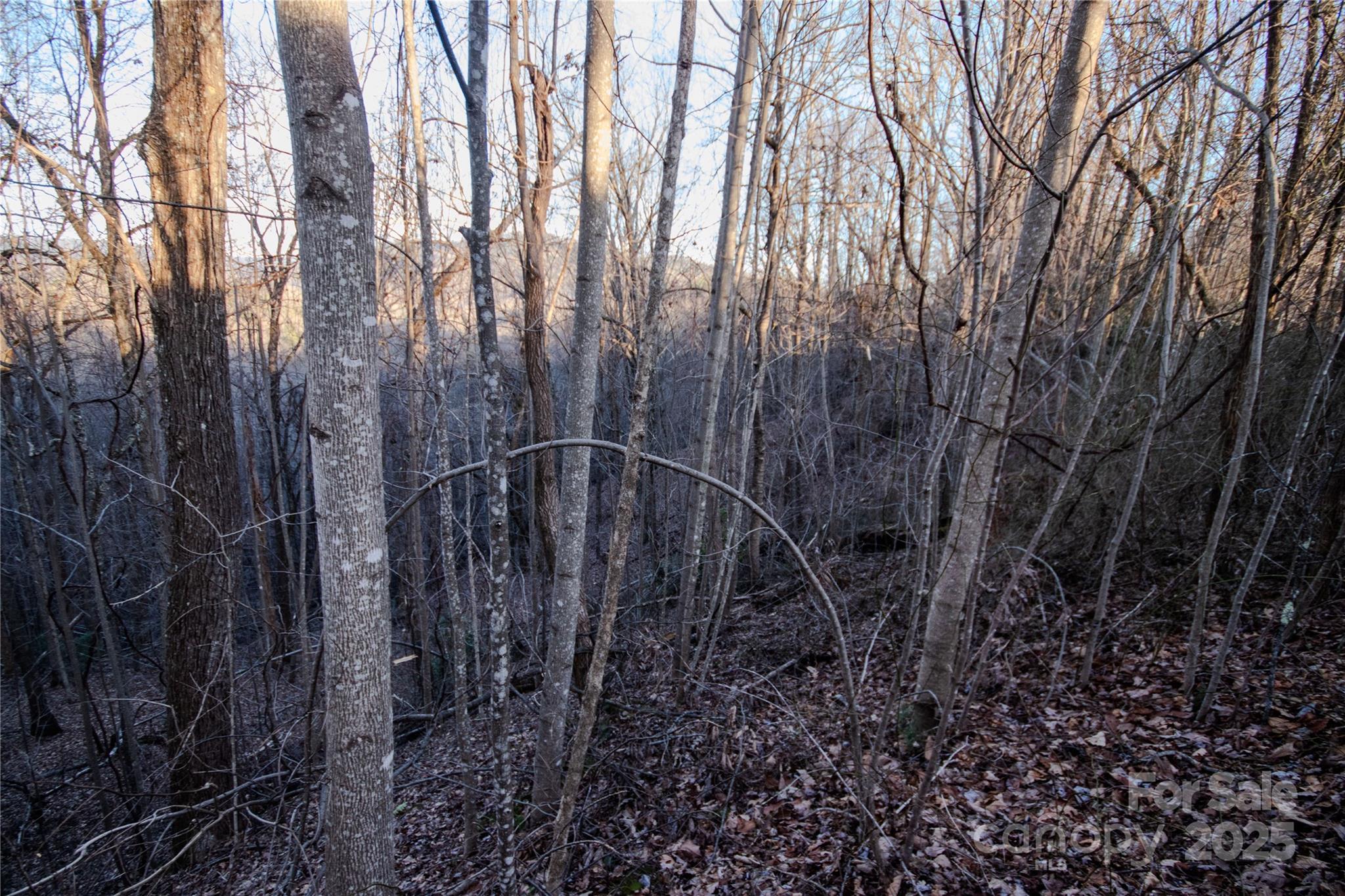 Lot# 22 Autumn Ridge Lenoir NC 28645